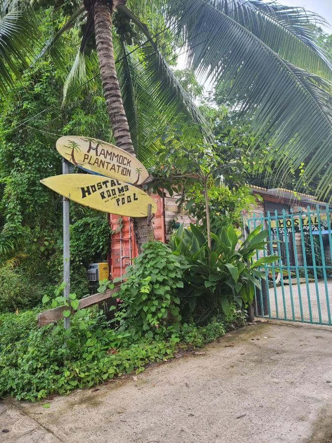 Hammock Plantation Hostel Ел Зонте Екстериор снимка